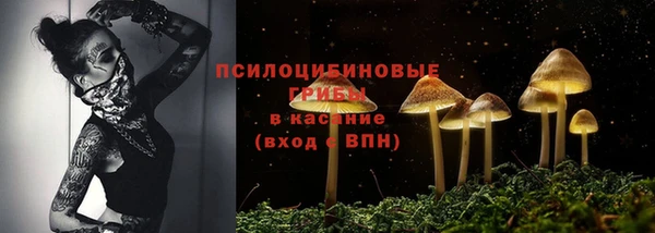 индика Красноперекопск