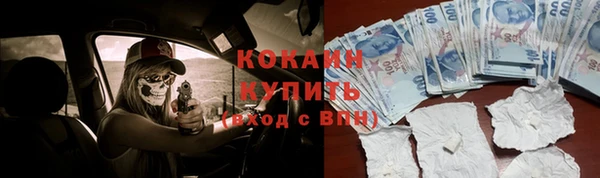 МДПВ Краснослободск