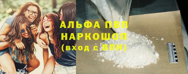 индика Красноперекопск