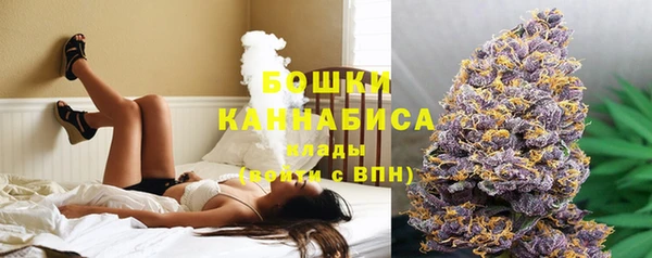 МДПВ Краснослободск