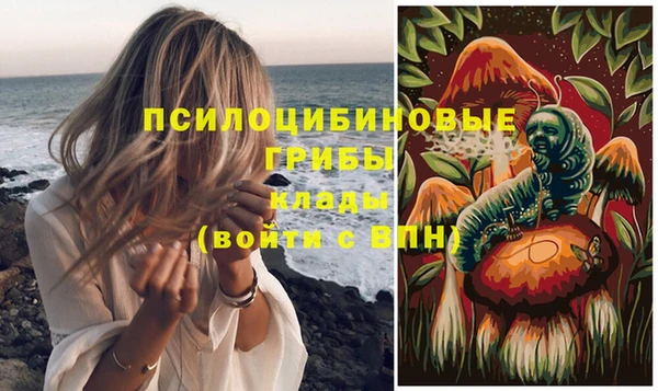 индика Красноперекопск